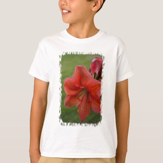 Amaryllis T-shirt (Voorkant)