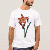 Amaryllis T-shirt (Voorkant)