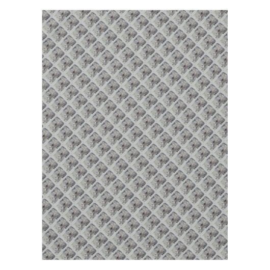 AMARYLLIS TAFELKLEED (Voorkant)