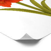 Amaryllis - Trots, poëtische schoonheid Poster (Hoek)