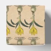 Amaryllis Tulip Botanische tuinklep Bedankdoosjes (Bovenkant)