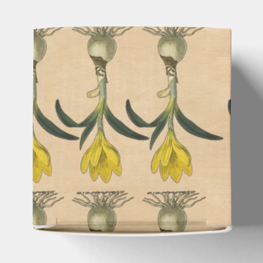 Amaryllis Tulip Botanische tuinklep Bedankdoosjes (Bovenkant)