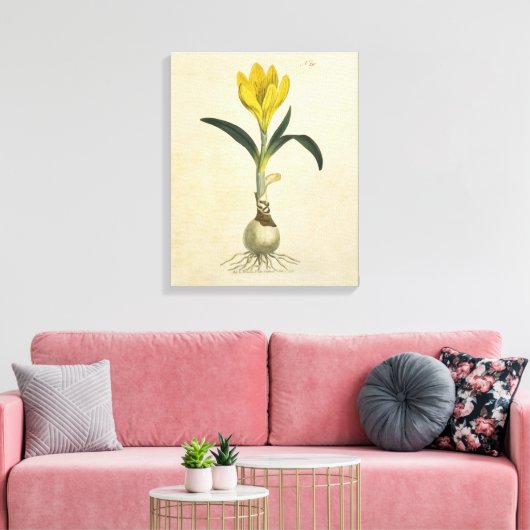 Amaryllis Tulip Botanische tuinklep Canvas Afdruk (Insitu (Woonkamer))