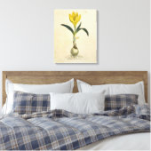 Amaryllis Tulip Botanische tuinklep Canvas Afdruk (Insitu (Slaapkamer))