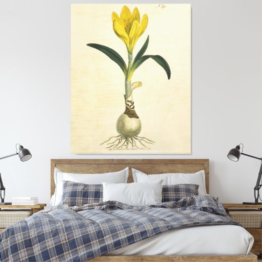 Amaryllis Tulip Botanische tuinklep Canvas Afdruk (Insitu (Slaapkamer))