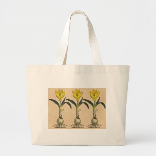 Amaryllis Tulip Botanische tuinklep Grote Tote Bag (Voorkant)