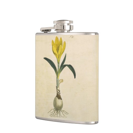 Amaryllis Tulip Botanische tuinklep Heupfles (Links)