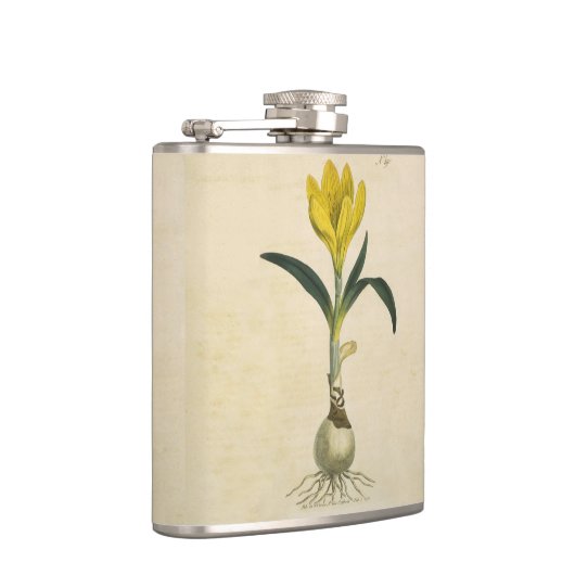 Amaryllis Tulip Botanische tuinklep Heupfles (Rechts)