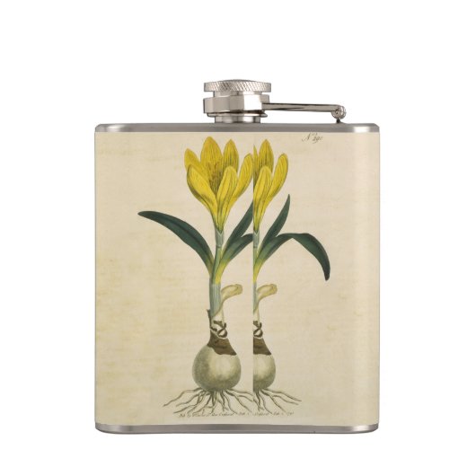 Amaryllis Tulip Botanische tuinklep Heupfles (Achterkant)