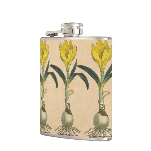 Amaryllis Tulip Botanische tuinklep Heupfles (Links)