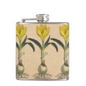 Amaryllis Tulip Botanische tuinklep Heupfles (Voorkant)