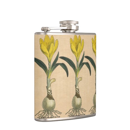 Amaryllis Tulip Botanische tuinklep Heupfles (Rechts)