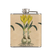 Amaryllis Tulip Botanische tuinklep Heupfles (Achterkant)