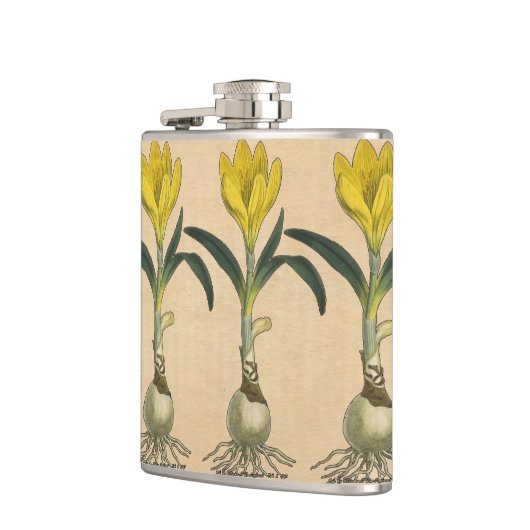 Amaryllis Tulip Botanische tuinklep Heupfles (Links)