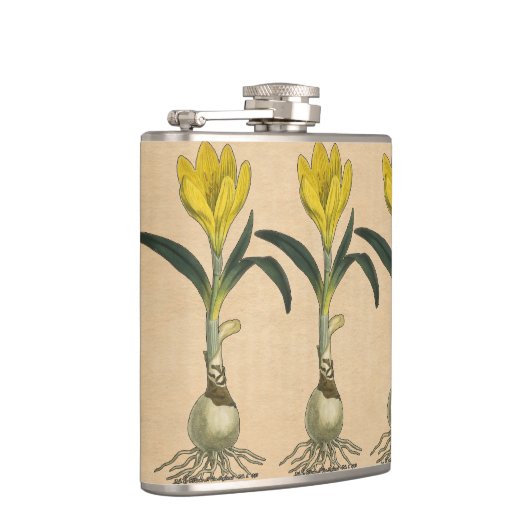 Amaryllis Tulip Botanische tuinklep Heupfles (Rechts)