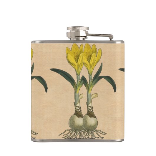 Amaryllis Tulip Botanische tuinklep Heupfles (Achterkant)