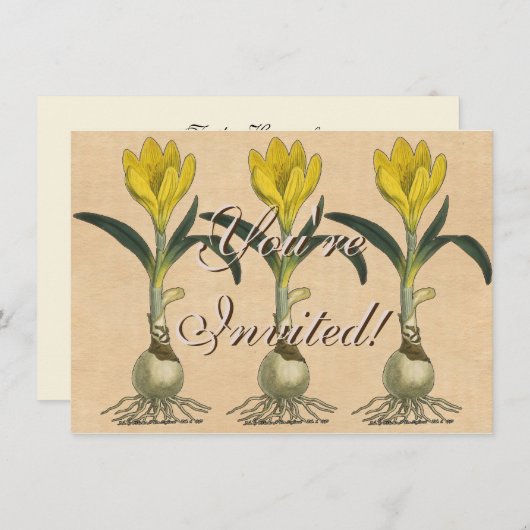 Amaryllis Tulip Botanische tuinklep Kaart (Voorkant / Achterkant)