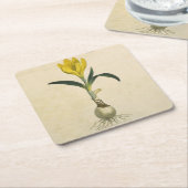 Amaryllis Tulip Botanische tuinklep Kartonnen Onderzetters (Schuin)