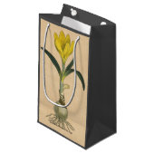 Amaryllis Tulip Botanische tuinklep Klein Cadeauzakje (Voorkant Gekanteld)