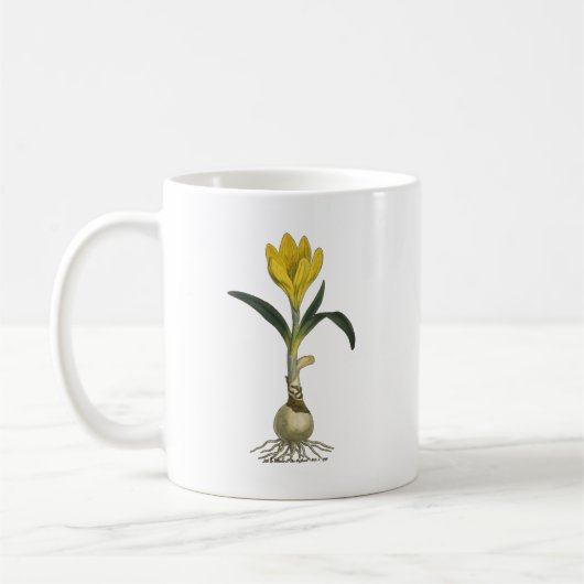 Amaryllis Tulip Botanische tuinklep Koffiemok (Links)