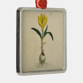 Amaryllis Tulip Botanische tuinklep Metalen Ornament (Rechts)