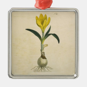 Amaryllis Tulip Botanische tuinklep Metalen Ornament