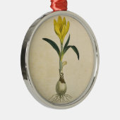 Amaryllis Tulip Botanische tuinklep Metalen Ornament (Rechts)