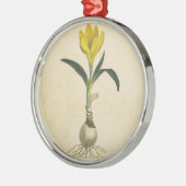 Amaryllis Tulip Botanische tuinklep Metalen Ornament (Links)