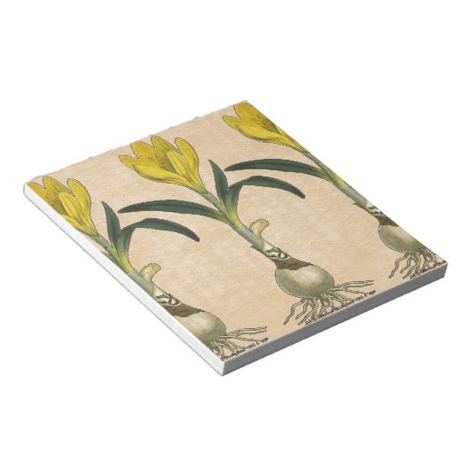 Amaryllis Tulip Botanische tuinklep Notitieblok (Schuin)