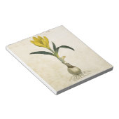 Amaryllis Tulip Botanische tuinklep Notitieblok (Schuin)