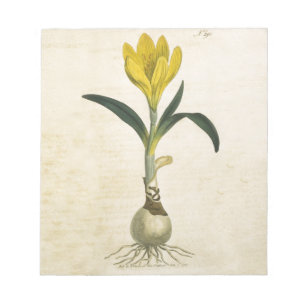 Amaryllis Tulip Botanische tuinklep Notitieblok