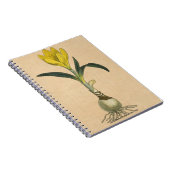 Amaryllis Tulip Botanische tuinklep Notitieboek (Rechterzijde)