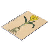 Amaryllis Tulip Botanische tuinklep Notitieboek (Linkerzijde)