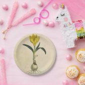 Amaryllis Tulip Botanische tuinklep Papieren Bordje (Feest)