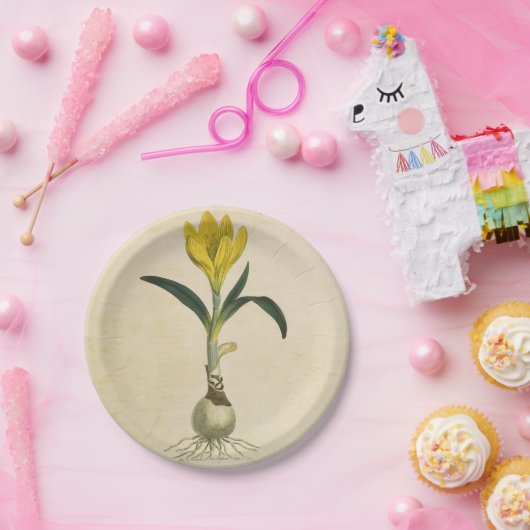 Amaryllis Tulip Botanische tuinklep Papieren Bordje (Feest)