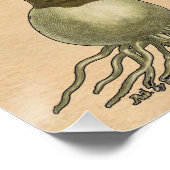 Amaryllis Tulip Botanische tuinklep Poster (Hoek)