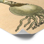 Amaryllis Tulip Botanische tuinklep Poster (Hoek)