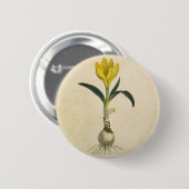 Amaryllis Tulip Botanische tuinklep Ronde Button 5,7 Cm (Voorkant /achterkant)