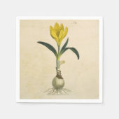 Amaryllis Tulip Botanische tuinklep Servetten (Voorkant)