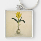 Amaryllis Tulip Botanische tuinklep Sleutelhanger (Voorkant)