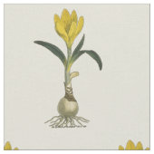 Amaryllis Tulip Botanische tuinklep Stof (Close Up)