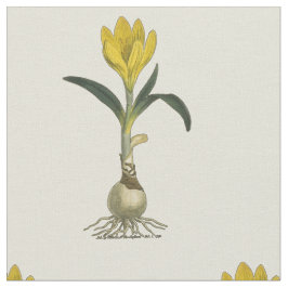 Amaryllis Tulip Botanische tuinklep Stof