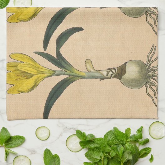 Amaryllis Tulip Botanische tuinklep Theedoek (Gevouwen)