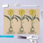 Amaryllis Tulip Botanische tuinklep Tissuepapier (Craft)