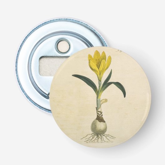 Amaryllis Tulp Botanische Tuin Bloem Button Flesopener (Voorkant)