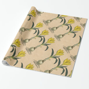 Amaryllis Tulp Botanische Tuin Bloem Cadeaupapier