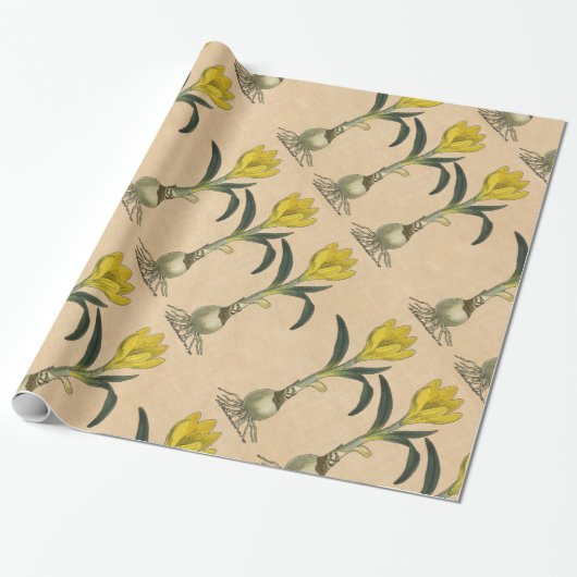 Amaryllis Tulp Botanische Tuin Bloem Cadeaupapier (Uitgerold)