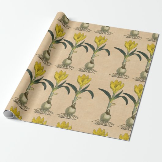 Amaryllis Tulp Botanische Tuin Bloem Cadeaupapier (Uitgerold)