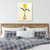 Amaryllis Tulp Botanische Tuin Bloem Canvas Afdruk (Insitu (Slaapkamer))