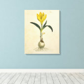 Amaryllis Tulp Botanische Tuin Bloem Canvas Afdruk (Insitu (Houten vloer))